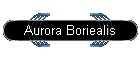 Aurora Boriealis